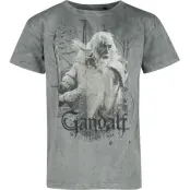 Sagan om Ringen T-shirt - Gandalf - S L - för Herr - flerfärgad