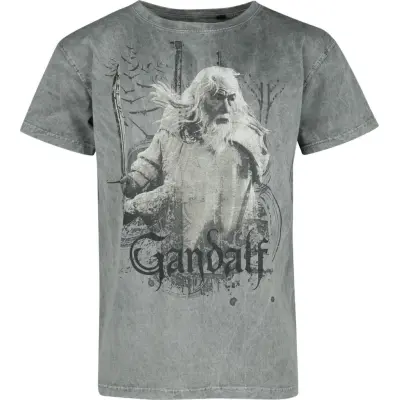 Sagan om Ringen T-shirt - Gandalf - S L - för Herr - flerfärgad