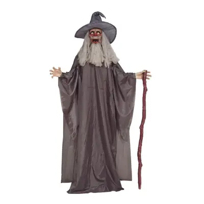 Trollkarl med Ljud & LED Prop