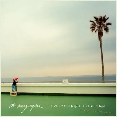 The Menzingers LP - Everything I Ever Saw - för  -