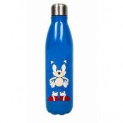 Sonic the Hedgehog Front and back Water bottle
