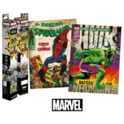 Marvel - Spider-Man & Hulk - 2 Posters 52 X 38Cm Set