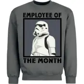 Star Wars - Disney Sweatshirt - Employee Of The Month - S XXL - för Herr - grafit