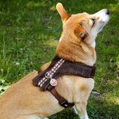 Star Wars, Hundsele med Tag - Chewbacca - S/M