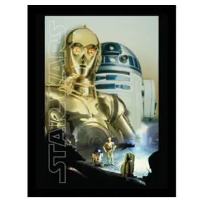 Star Wars - Droids Key Art - Collector Print 30X40Cm