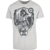 Star Wars T-shirt - Darth Vader - S XXL - för Herr - grå