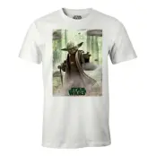 Star Wars - T-Shirt - Yoda - (M)