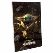 The Mandalorian, Tavla - Inventor of Cute