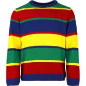 Stranger Things Stickad jumper - Derek Turnbow - Pulllover - S XXL - för Herr - flerfärgad