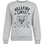 Stranger Things Sweatshirt - Season 5 - Hellfire Lives! - S XXL - för Herr - grå
