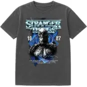 Stranger Things T-shirt - Season 5 - Vecna Band - S XXL - för Herr - flerfärgad