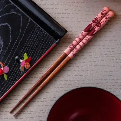 Studio Ghibli lacquered Chopsticks sketches Kiki delivery's service pink 21 cm