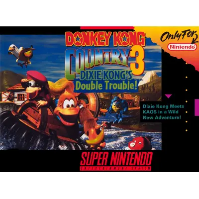 Donkey Kong Country 3