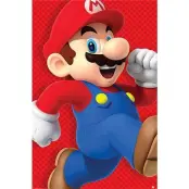Super Mario - Run - Poster 61x91cm