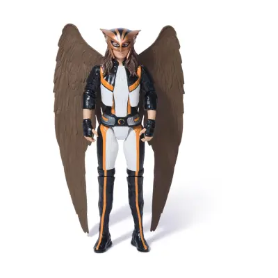 DC Superman Movie: Hawkgirl - Action Figure 12
