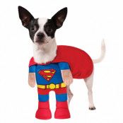 Hunddräkt, Superman-M