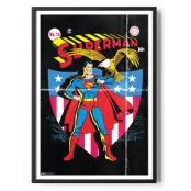 Superman American Eagle Poster