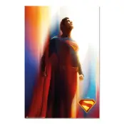 Superman - Poster 61 X 91Cm