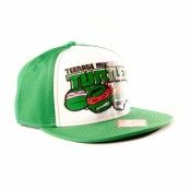 Green Turtles Snapback Cap, Adjustable Snapback Cap