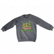 Teeange Mutant Ninja Turtles Distressed Group Kids Sweatshirt