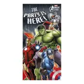 Avengers Heroes Dörrdekoration