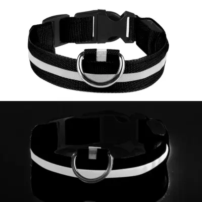 LED Hundhalsband - Flerfärgad - Medium