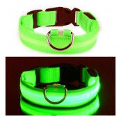 LED Hundhalsband - Grön - Medium