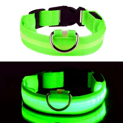 LED Hundhalsband - Grön - Small