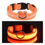 LED Hundhalsband - Orange - Large