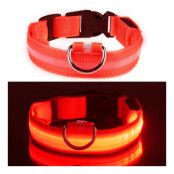 LED Hundhalsband - Röd - Large