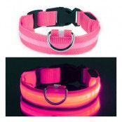 LED Hundhalsband - Rosa - Large