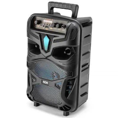 Karaokehögtalare inkl. Mikrofon