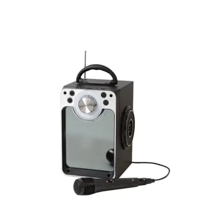 Sing Along Karaoke Machine Black - Leksaksaffären -  Leksaksaffären