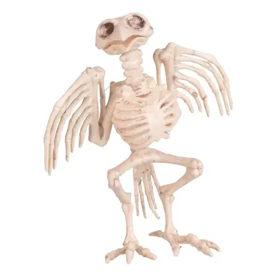 Fågelskelett Prop