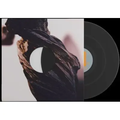 Pixies LP - The night the zombies came - för