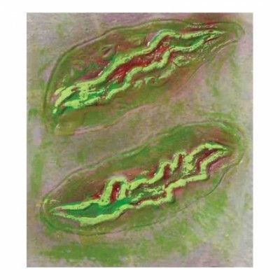 Souvenir Nyckelring Sweden Viking/Flagga